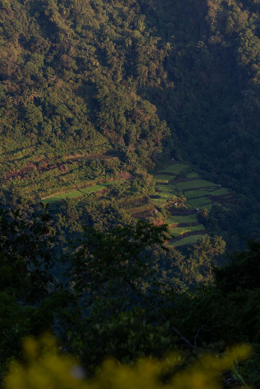 SCOTT-A-WOODWARD---IMG_0359