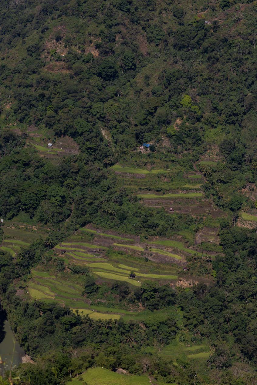 SCOTT-A-WOODWARD---IMG_0778