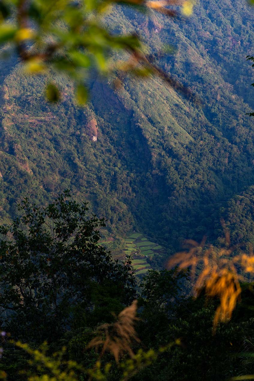 SCOTT-A-WOODWARD---IMG_0859