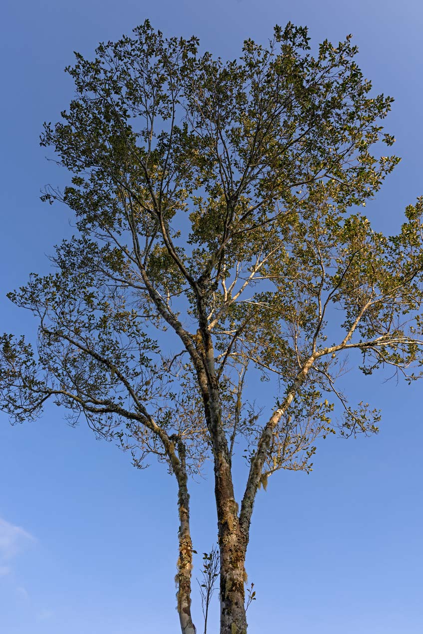 SCOTT-A-WOODWARD---IMG_1022