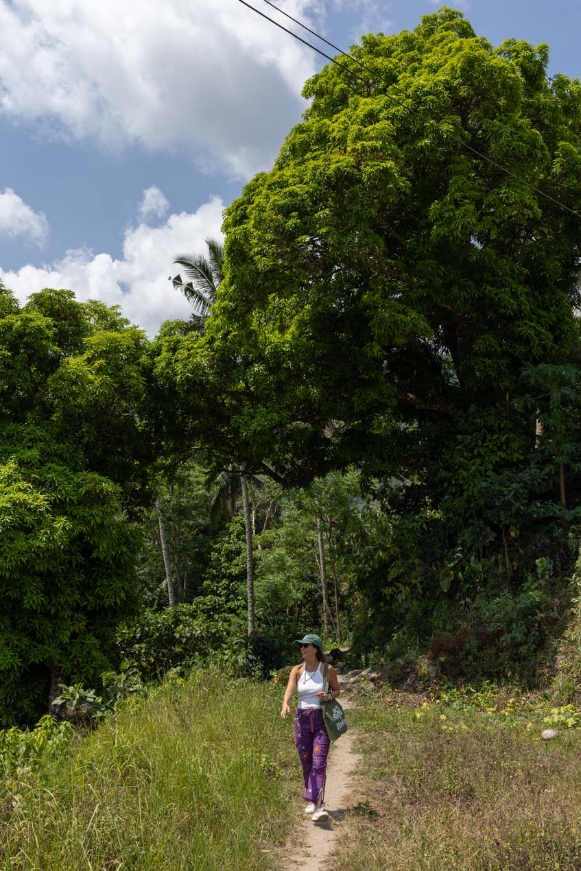 SCOTT-A-WOODWARD---IMG_1068