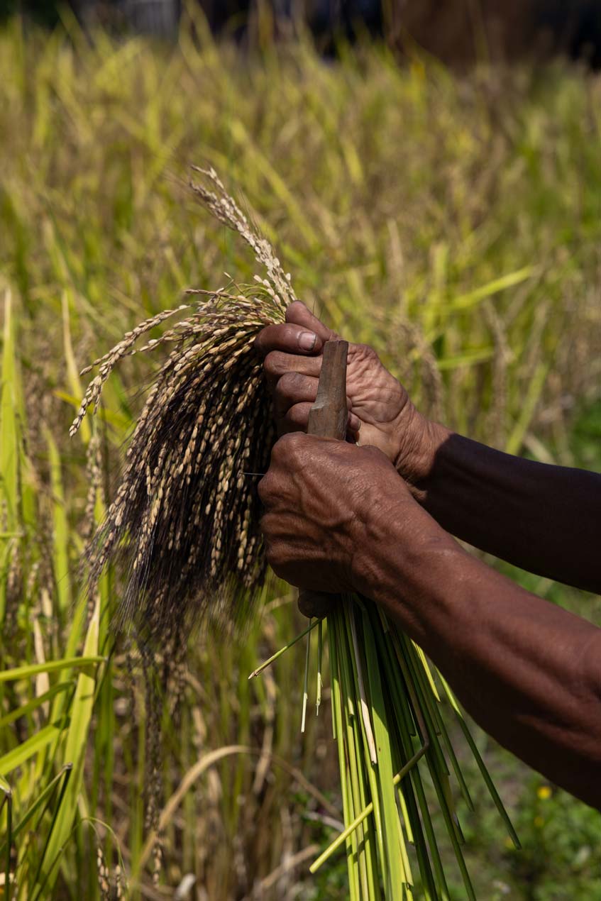 SCOTT-A-WOODWARD---IMG_1248