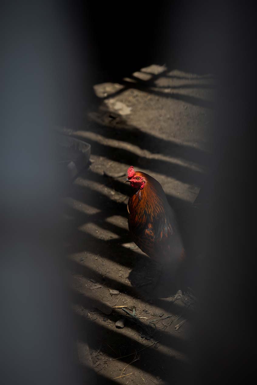 SCOTT-A-WOODWARD---IMG_1276