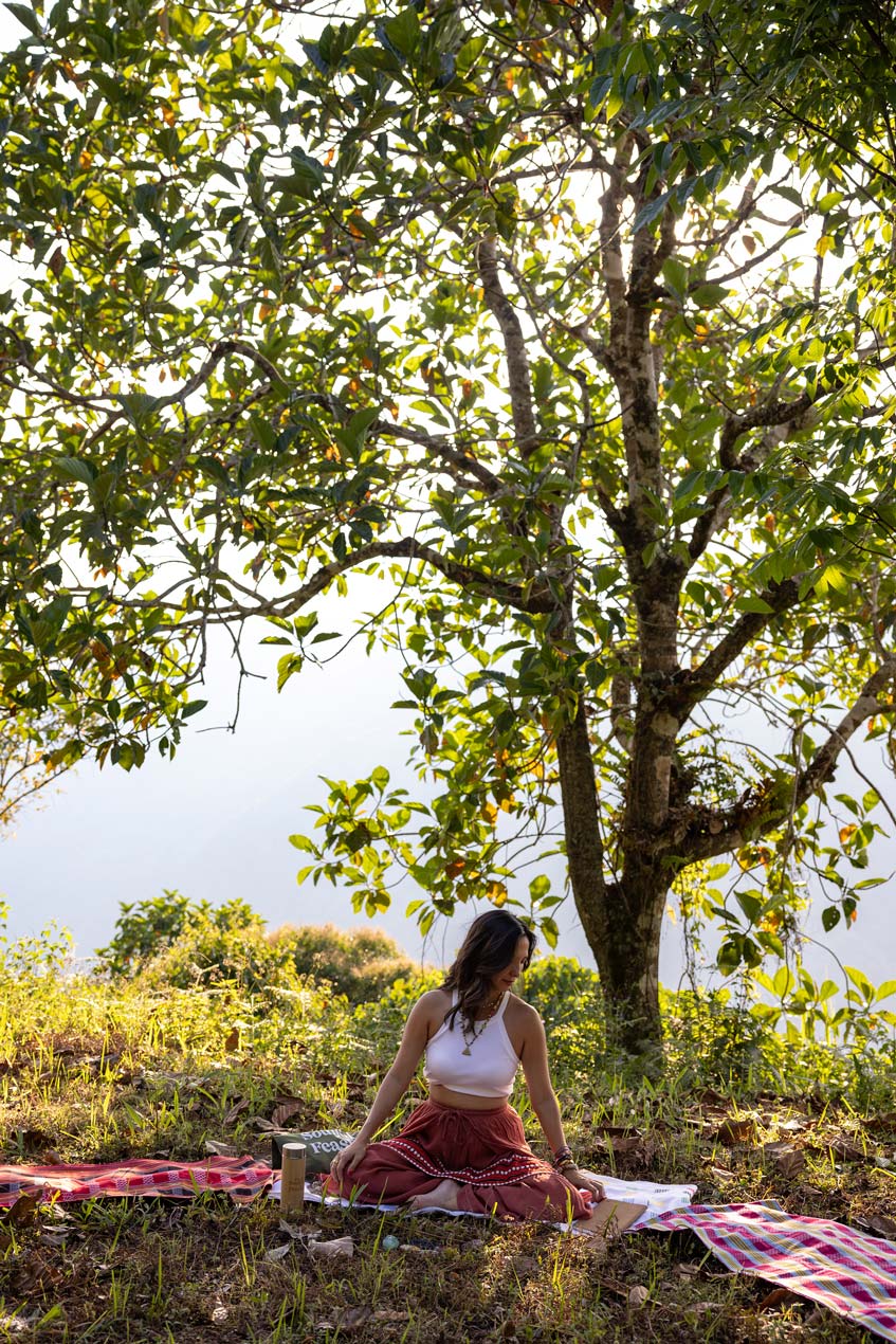 SCOTT-A-WOODWARD---IMG_7356