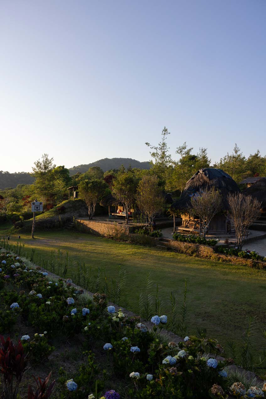 SCOTT-A-WOODWARD---IMG_7512