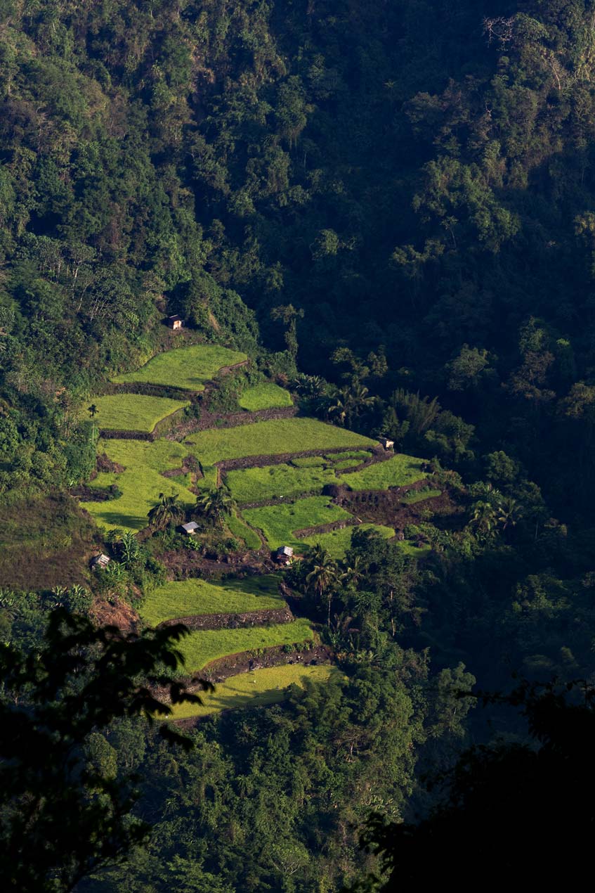 SCOTT-A-WOODWARD---IMG_7795