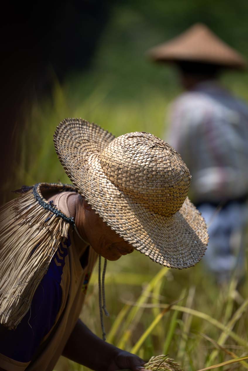 SCOTT-A-WOODWARD---IMG_7797