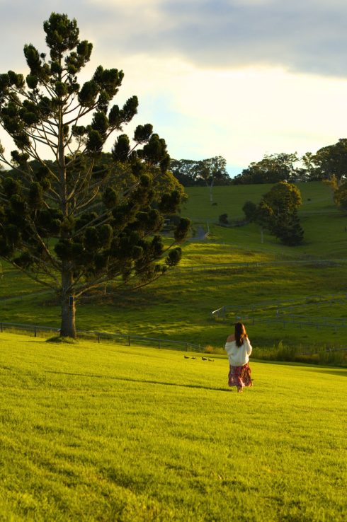 SF-BRISBANE (3)