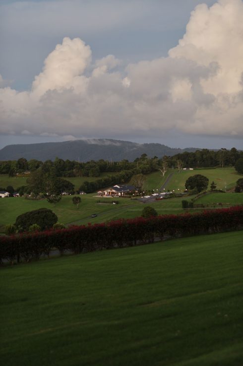 SF-BRISBANE (36)